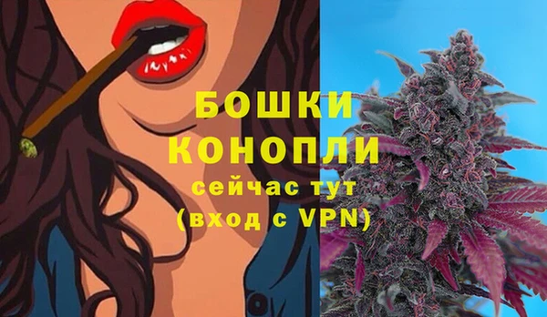 винт Богородск