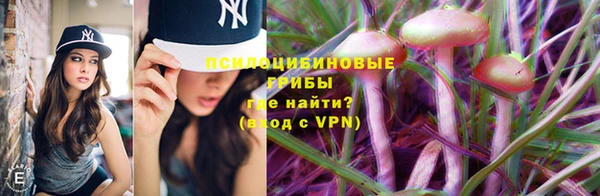 винт Богородск