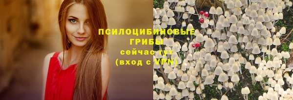 винт Богородск