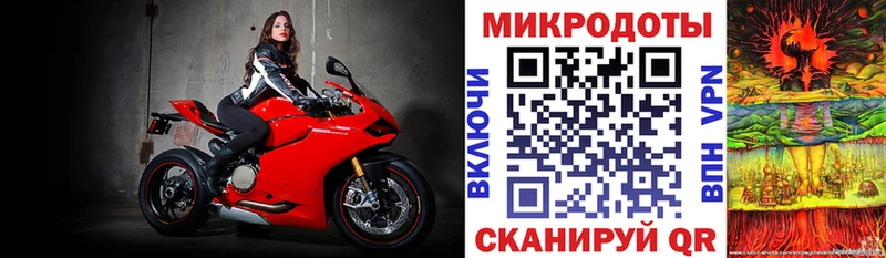 Псилоцибиновые грибы прущие грибы  Чапаевск 